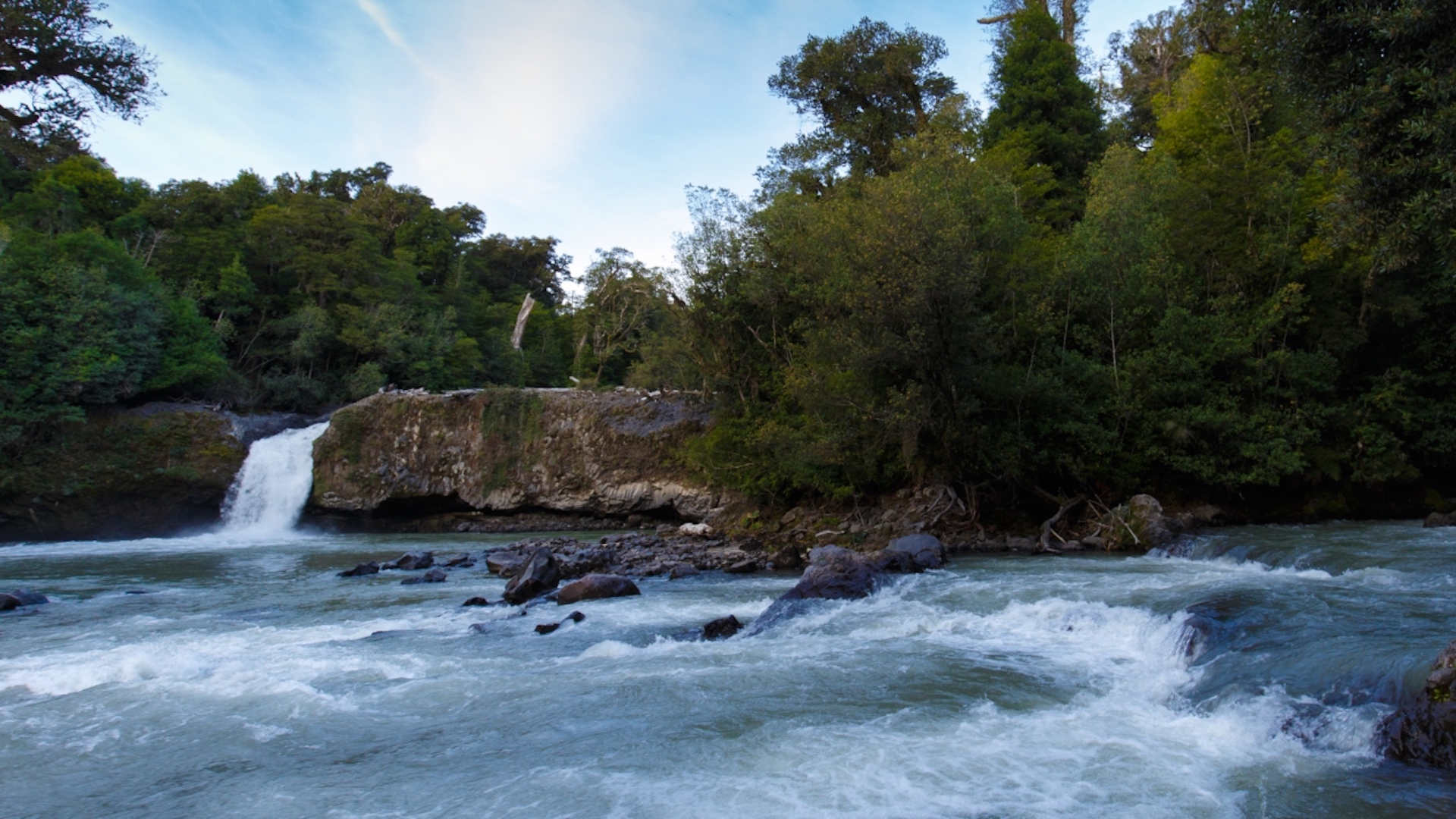 Aguas turbias