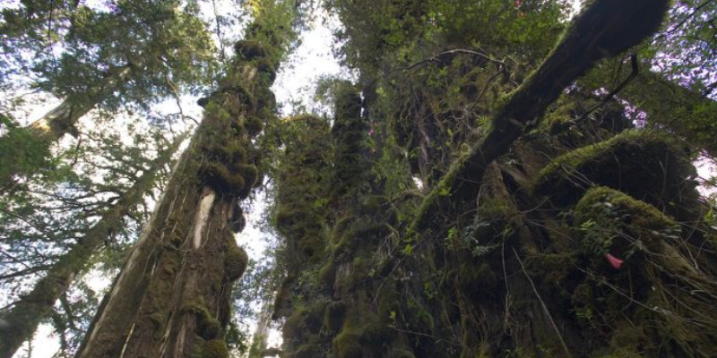Respuesta a Matías Asun